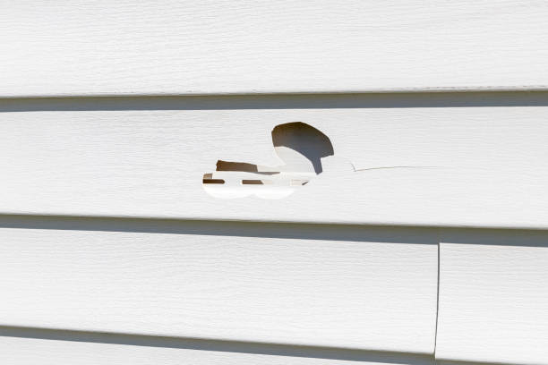 Best Insulated Siding Installation  in Lake Ssota, WI