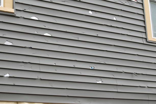 Best Fascia and Soffit Installation  in Lake Ssota, WI