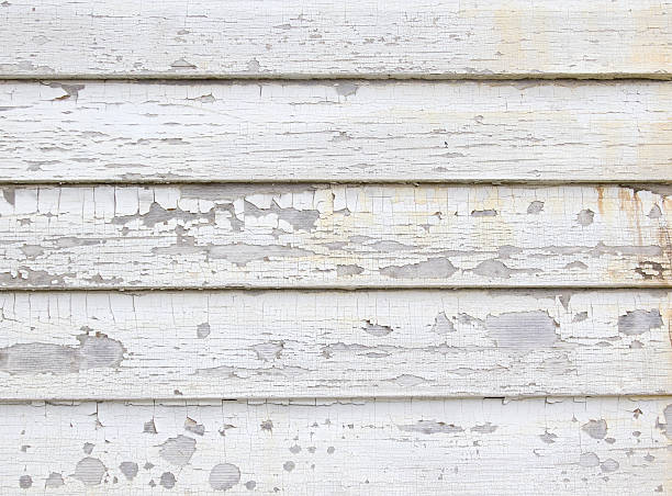 Best Storm Damage Siding Repair  in Lake Ssota, WI