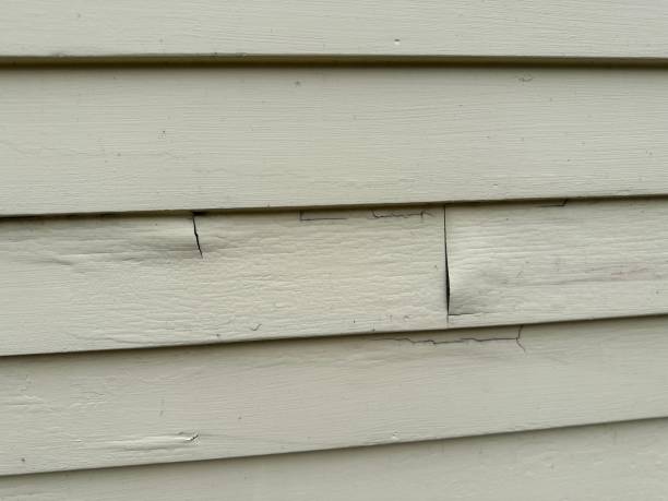 Best Historical Building Siding Restoration  in Lake Ssota, WI